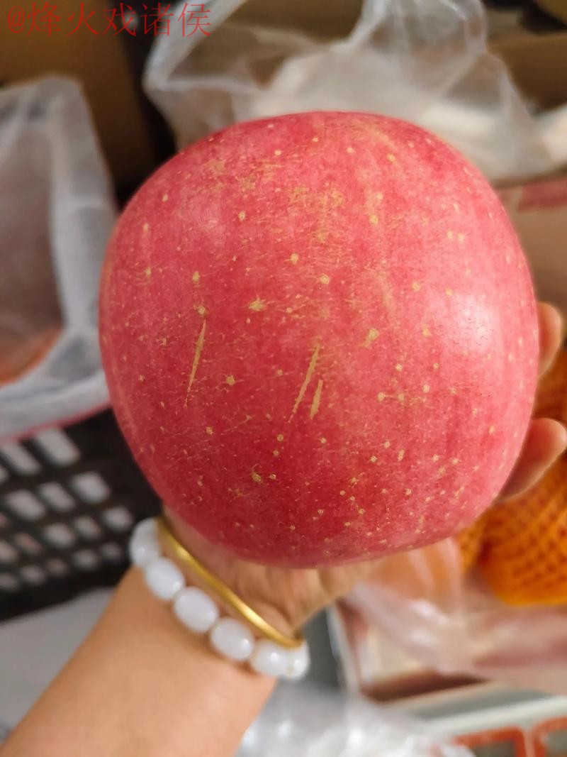 世界杯盘口苹果热门